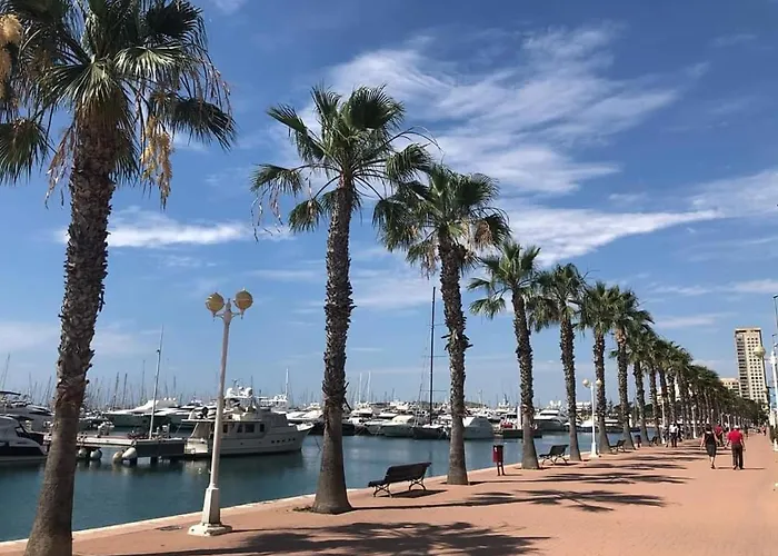 Apartamento Casaturis En El Corazon De Alicante A118